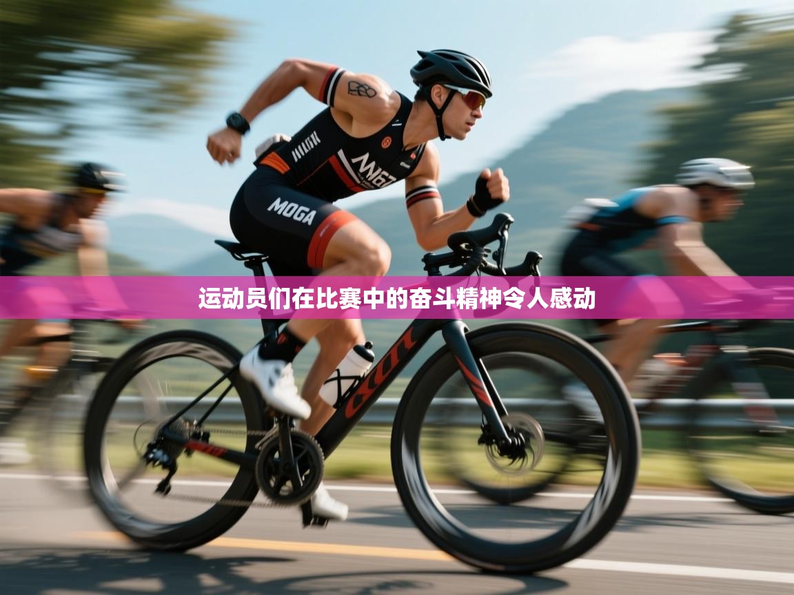 运动员们在比赛中的奋斗精神令人感动  第1张