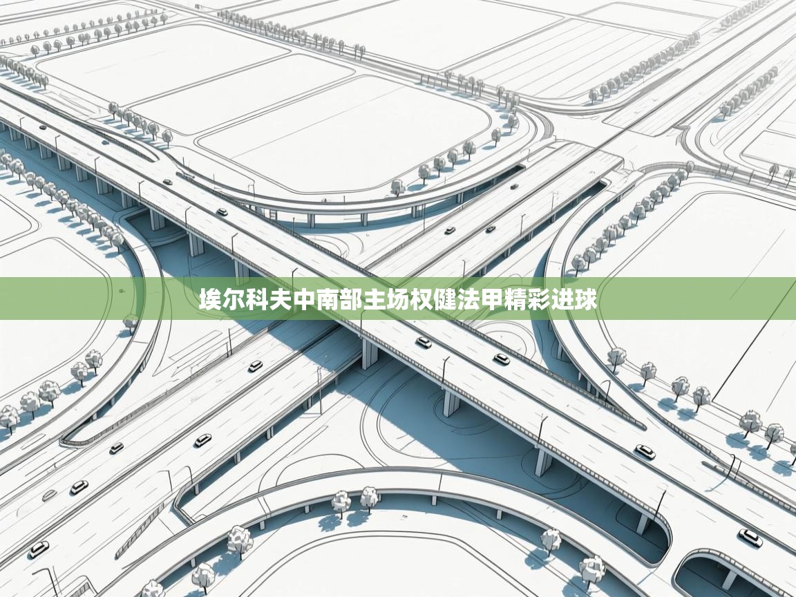 埃尔科夫中南部主场权健法甲精彩进球  第1张