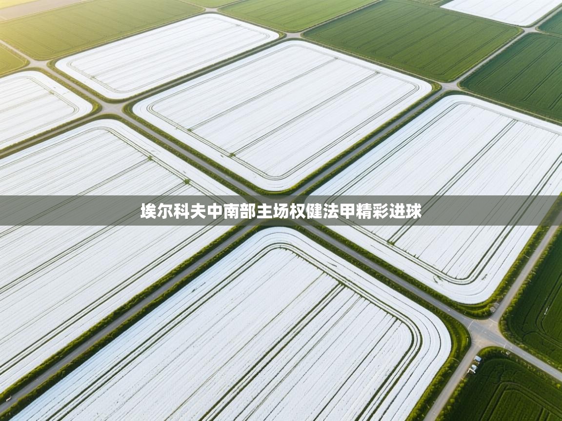 埃尔科夫中南部主场权健法甲精彩进球  第2张